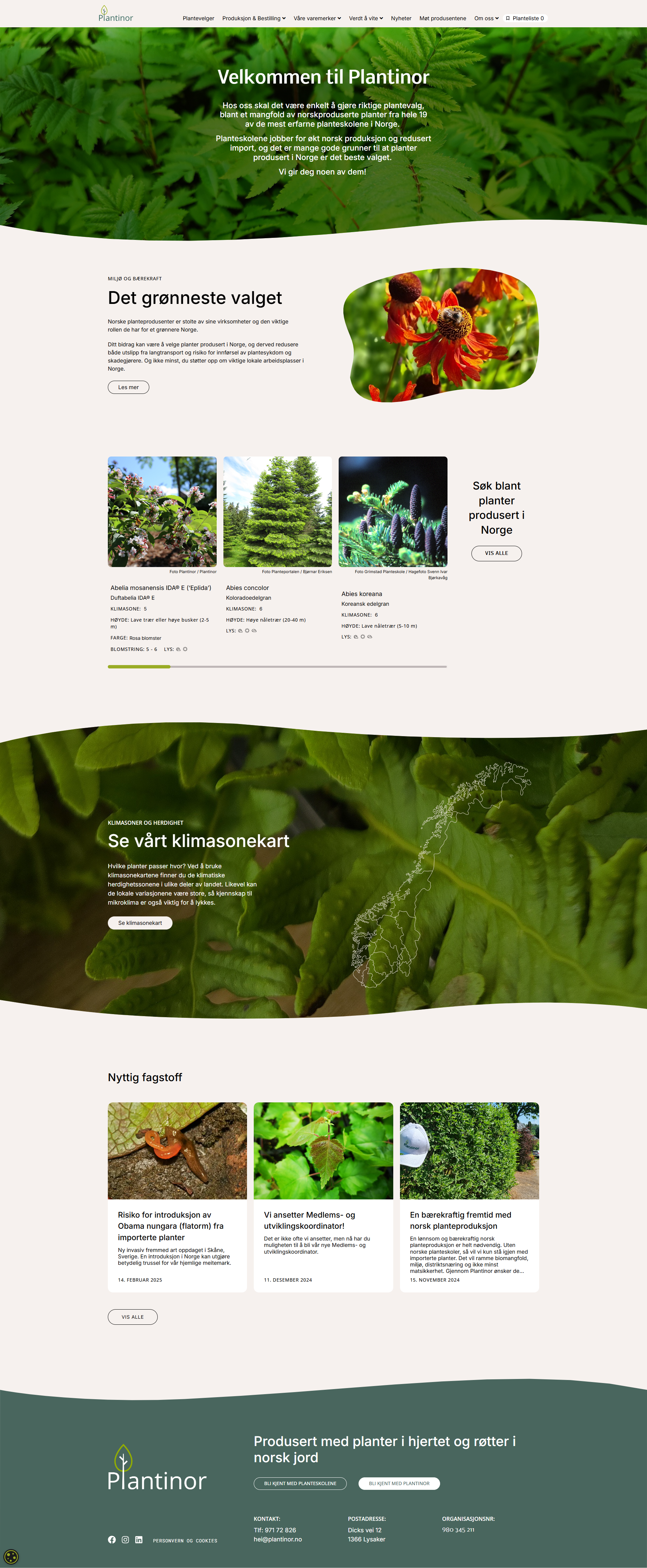 Plantinor